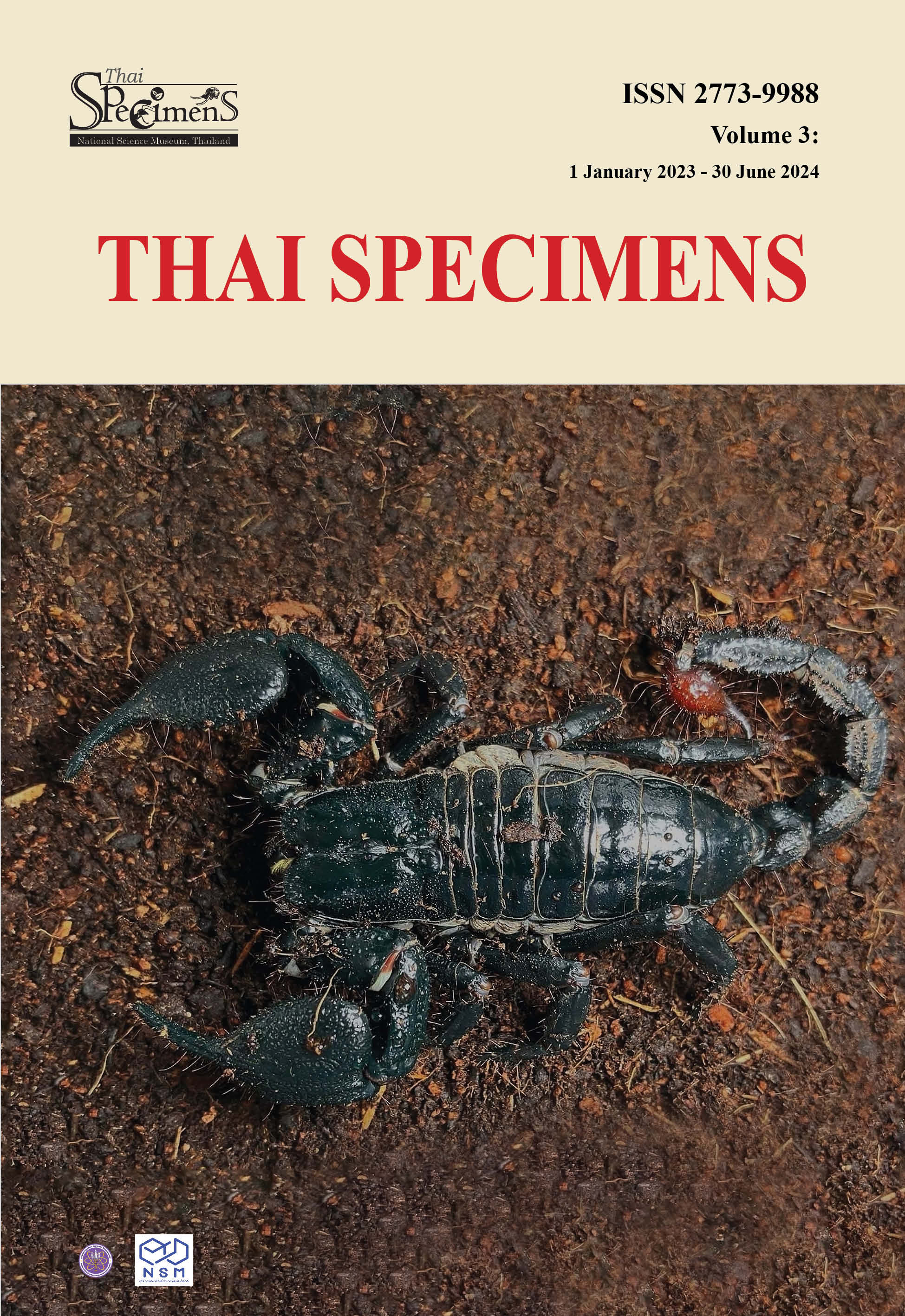 Thai Specimens Vol.3