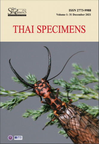 Thai Specimens