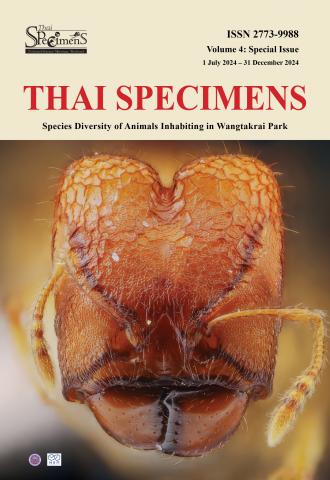 Thai Specimens Vol.4